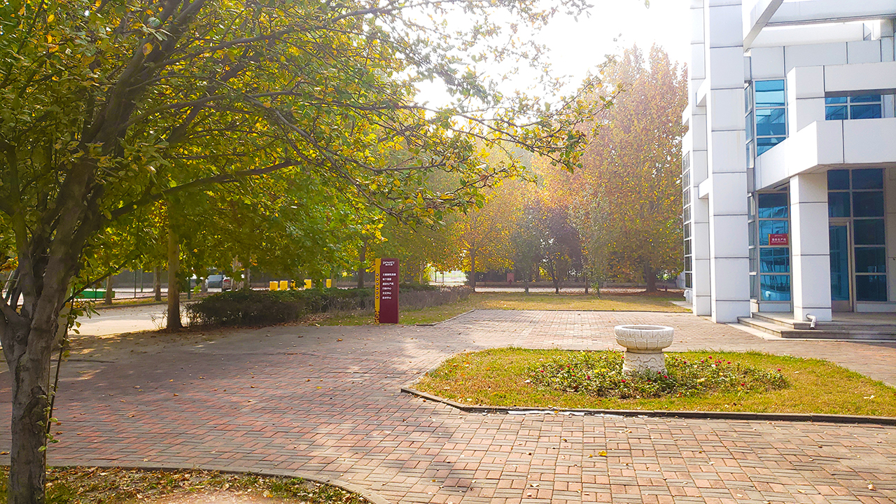 20241103_113301-1.jpg