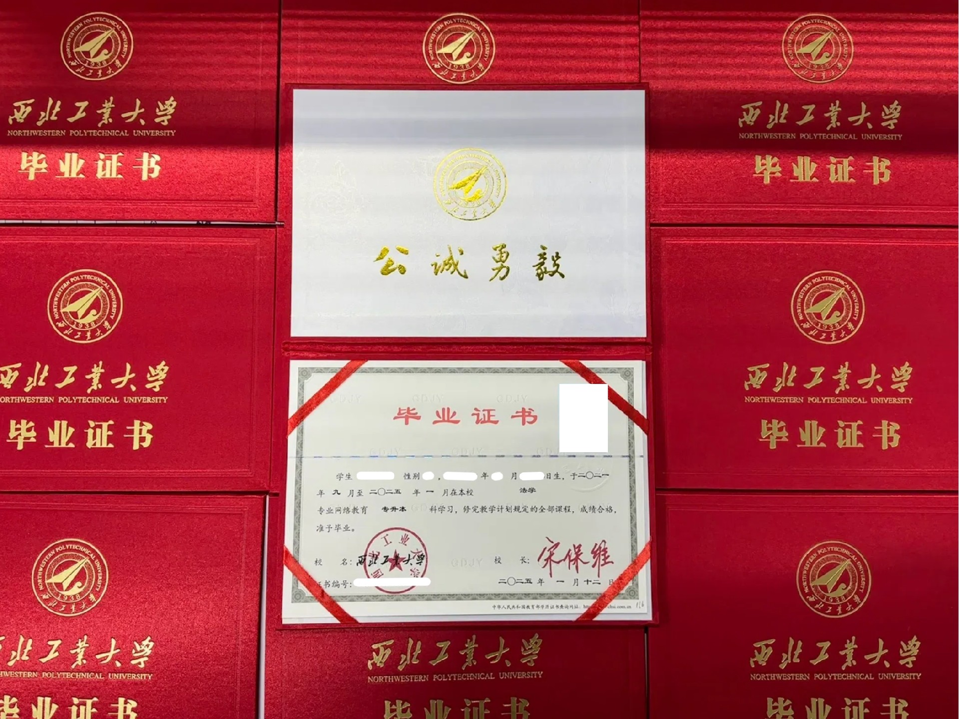 微信图片_20250210130237.jpg